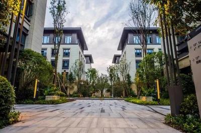 渝中區瞄準“互聯網數據服務”新藍海，擘畫四年400億大數據智能化產業藍圖